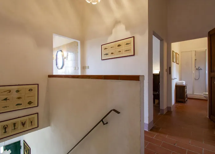 펜션 Mattonai By Interhome 팔라야